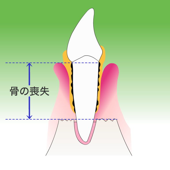 岡田歯科